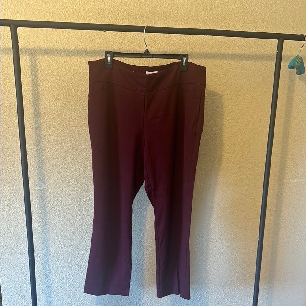 Charter Club Maroon Trousers